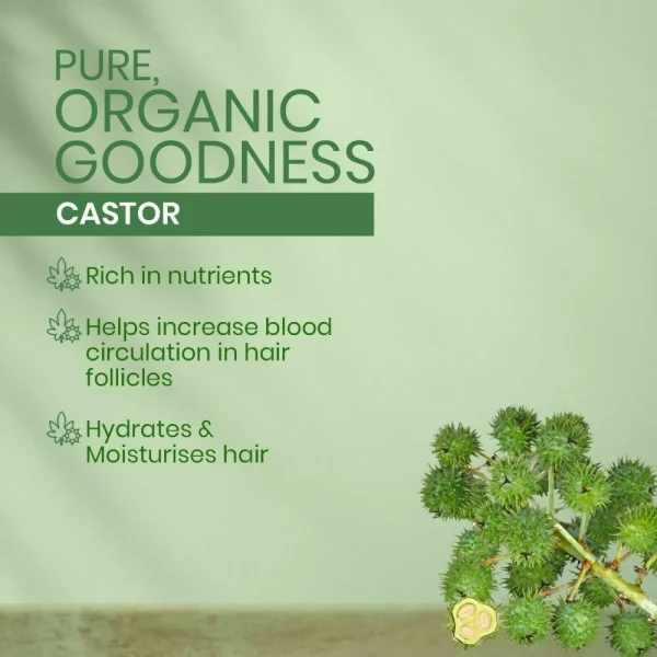 Kesh King Organics Castor Shampoo -300 ml - Image 4