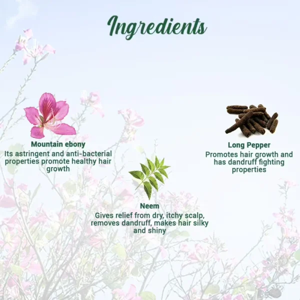 Biotique Bio Mountain Ebony Vitalizing Serum -120 ml - Image 4
