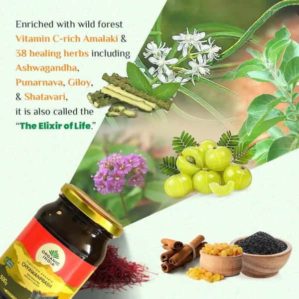 Organic India Organic Chyawanprash -500 gm - Pack of 1 - Image 6